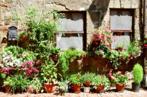 sovana039