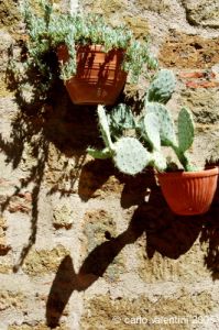 sovana047