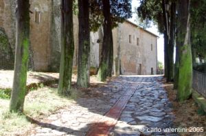 sovana059