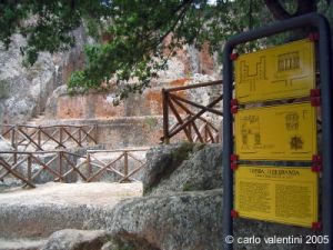 sovana_ildebranda17