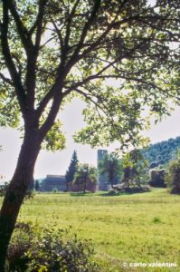 sovicille1019_06