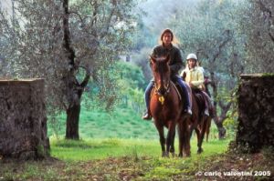 sovicille1020_13
