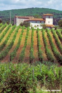 torre_a_cona620_22