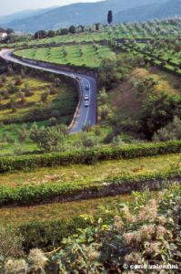 torre_a_cona652_21