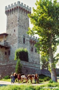 torre_a_decima1013_18