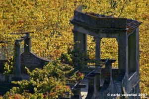 tosi_campagna001