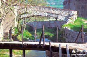 travalle203_03