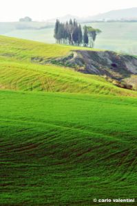 val_d_orcia384_40