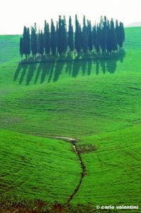 val_d_orcia384_42
