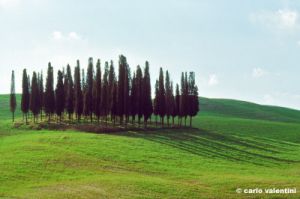 val_d_orcia384_43