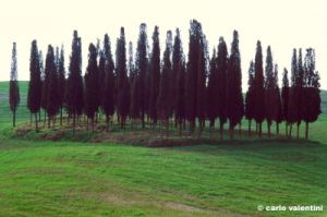 val_d_orcia384_44