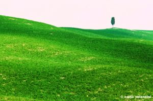 val_d_orcia386_03