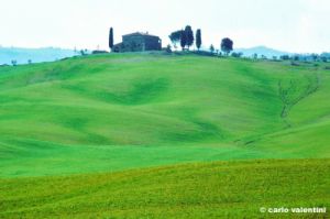 val_d_orcia386_05