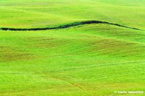 val_d_orcia386_07
