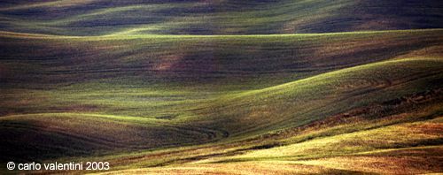 val_dorcia4