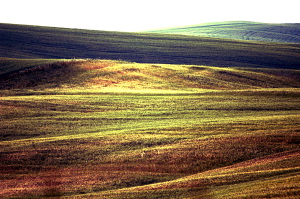 val_dorcia5