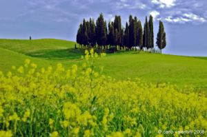 valdorcia_montalcino03