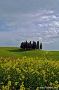 valdorcia_montalcino09
