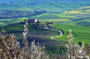 valdorcia_pienza04