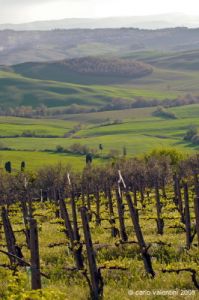 valdorcia_pienza09