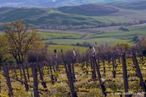 valdorcia_pienza10