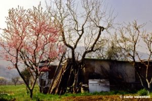 vallina108_01