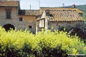 vallina286_20