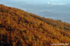 vallombrosa013