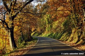 vallombrosa035