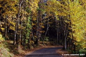 vallombrosa036