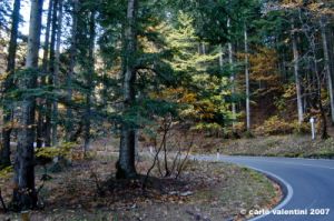 vallombrosa087