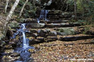 vallombrosa096
