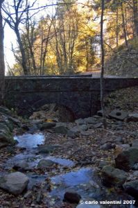 vallombrosa098