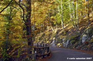 vallombrosa118