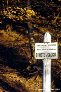 vallombrosa138