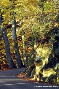 vallombrosa153
