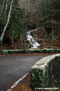 vallombrosa168