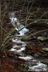 vallombrosa169