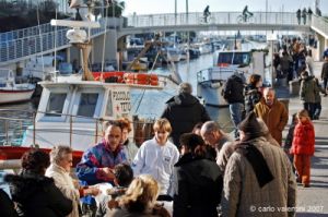 viareggio032