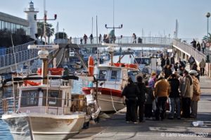 viareggio037