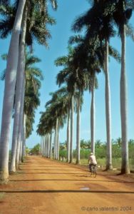 marti66_614