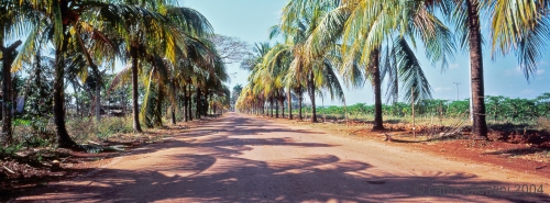 marti73_408