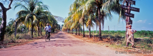 marti73_410
