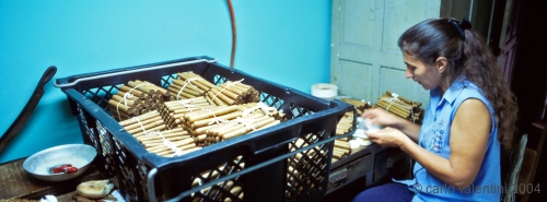 pinardelrio72_418