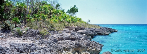 playa_larga74_508