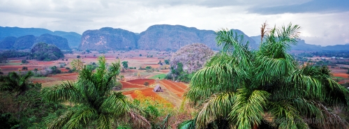 vinales69_110