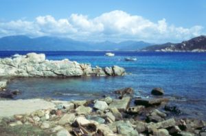 campomoro187_06
