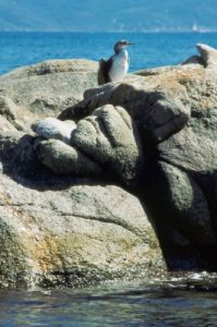 porto_pollo262_03