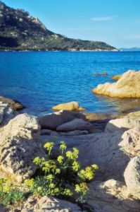portovecchio188_19