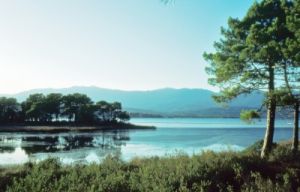 portovecchio189_18